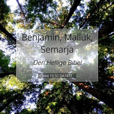 Picture 07 - Ezra 10:32 DA1871 - Benjamin, Malluk, - Bible Verse Picture