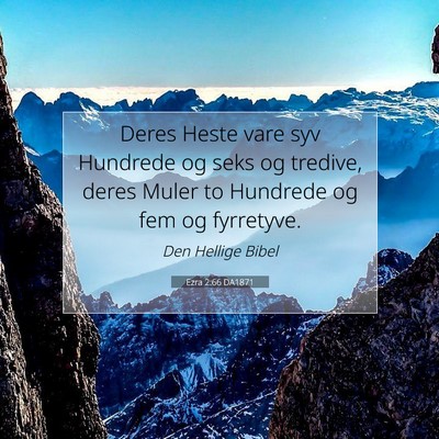 Picture 07 - Ezra 2:66 DA1871 - Deres Heste vare syv Hundrede og seks og tredive, - Bible Verse Picture