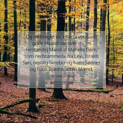 Picture 07 - Ezra 8:18 DA1871 - Og de bragte os, efterdi vor Guds gode Haand var - Bible Verse Picture