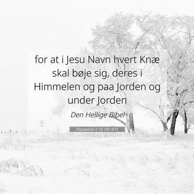 Picture 07 - Filipperne 2:10 DA1871 - for at i Jesu Navn hvert Knæ skal bøje sig, - Bible Verse Picture