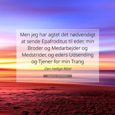 Picture 07 - Filipperne 2:25 DA1871 - Men jeg har agtet det nødvendigt at sende - Bible Verse Picture