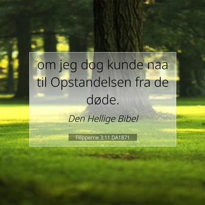 Picture 07 - Filipperne 3:11 DA1871 - om jeg dog kunde naa til Opstandelsen fra de - Bible Verse Picture