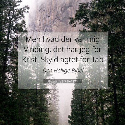 Picture 07 - Filipperne 3:7 DA1871 - Men hvad der var mig Vinding, det har jeg for - Bible Verse Picture