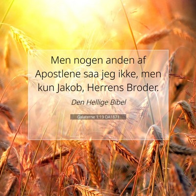 Picture 07 - Galaterne 1:19 DA1871 - Men nogen anden af Apostlene saa jeg ikke, men - Bible Verse Picture