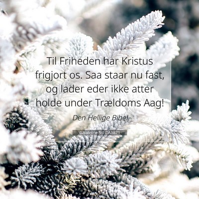Picture 07 - Galaterne 5:1 DA1871 - Til Friheden har Kristus frigjort os. Saa staar - Bible Verse Picture