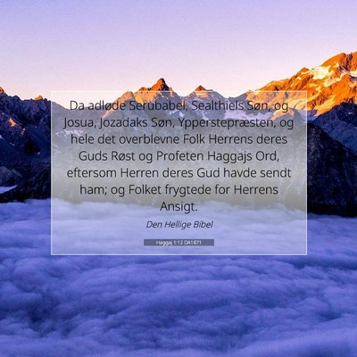 Picture 07 - Haggaj 1:12 DA1871 - Da adløde Serubabel, Sealthiels Søn, og Josua, - Bible Verse Picture