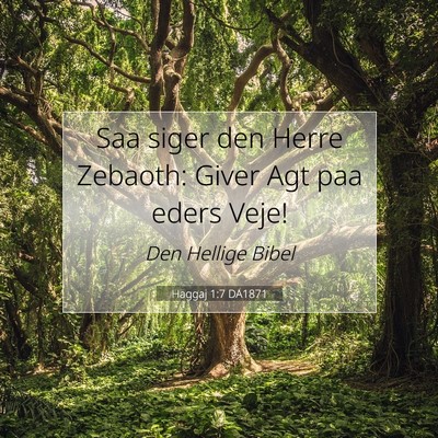 Picture 07 - Haggaj 1:7 DA1871 - Saa siger den Herre Zebaoth: Giver Agt paa eders - Bible Verse Picture