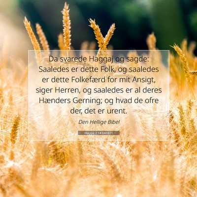 Picture 07 - Haggaj 2:14 DA1871 - Da svarede Haggaj og sagde: Saaledes er dette - Bible Verse Picture
