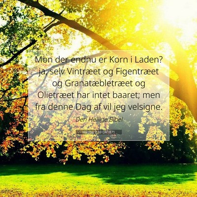 Picture 07 - Haggaj 2:19 DA1871 - Mon der endnu er Korn i Laden? ja, selv Vintræet - Bible Verse Picture
