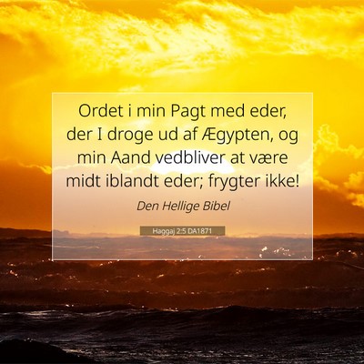 Picture 07 - Haggaj 2:5 DA1871 - Ordet i min Pagt med eder, der I droge ud af - Bible Verse Picture