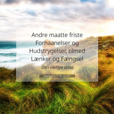 Picture 07 - Hebræerne 11:36 DA1871 - Andre maatte friste Forhaanelser og - Bible Verse Picture