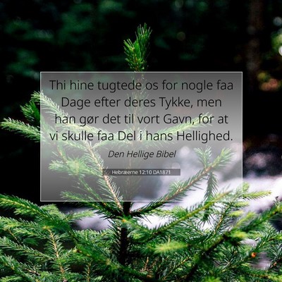 Picture 07 - Hebræerne 12:10 DA1871 - Thi hine tugtede os for nogle faa Dage efter - Bible Verse Picture