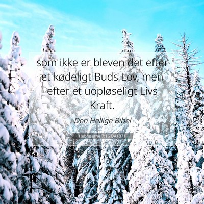 Picture 07 - Hebræerne 7:16 DA1871 - som ikke er bleven det efter et kødeligt Buds - Bible Verse Picture