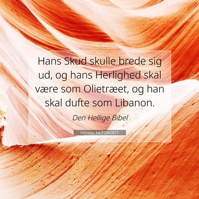Picture 07 - Hoseas 14:7 DA1871 - Hans Skud skulle brede sig ud, og hans Herlighed - Bible Verse Picture