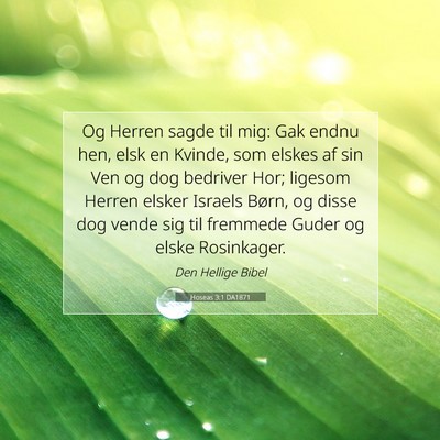Picture 07 - Hoseas 3:1 DA1871 - Og Herren sagde til mig: Gak endnu hen, elsk en - Bible Verse Picture