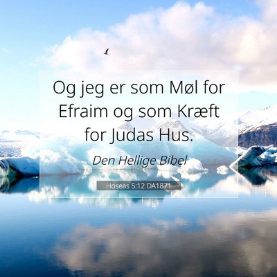 Picture 07 - Hoseas 5:12 DA1871 - Og jeg er som Møl for Efraim og som Kræft for - Bible Verse Picture