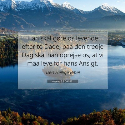 Picture 07 - Hoseas 6:2 DA1871 - Han skal gøre os levende efter to Dage; paa den - Bible Verse Picture