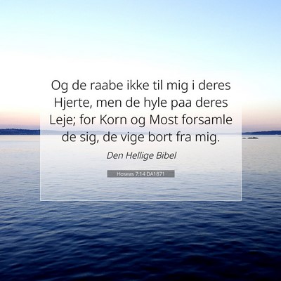 Picture 07 - Hoseas 7:14 DA1871 - Og de raabe ikke til mig i deres Hjerte, men de - Bible Verse Picture
