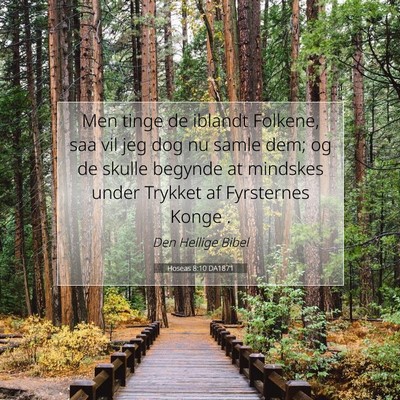 Picture 07 - Hoseas 8:10 DA1871 - Men tinge de iblandt Folkene, saa vil jeg dog nu - Bible Verse Picture