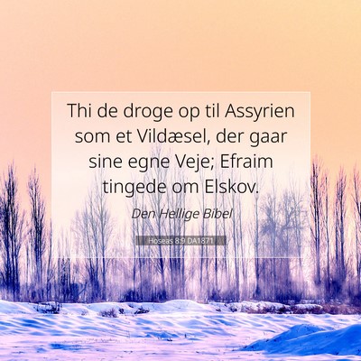 Picture 07 - Hoseas 8:9 DA1871 - Thi de droge op til Assyrien som et Vildæsel, - Bible Verse Picture