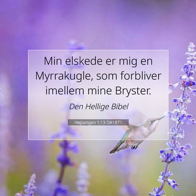 Picture 07 - Højsangen 1:13 DA1871 - Min elskede er mig en Myrrakugle, som forbliver - Bible Verse Picture