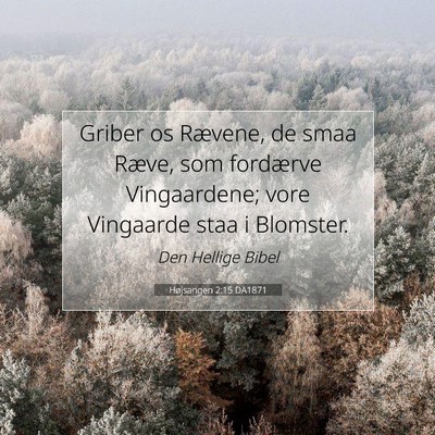 Picture 07 - Højsangen 2:15 DA1871 - Griber os Rævene, de smaa Ræve, som fordærve - Bible Verse Picture