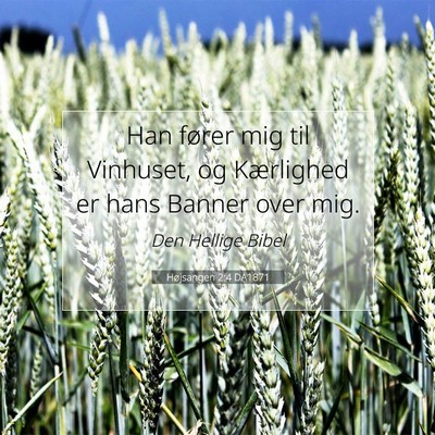 Picture 07 - Højsangen 2:4 DA1871 - Han fører mig til Vinhuset, og Kærlighed er - Bible Verse Picture