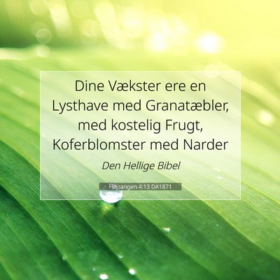 Picture 07 - Højsangen 4:13 DA1871 - Dine Vækster ere en Lysthave med Granatæbler, - Bible Verse Picture