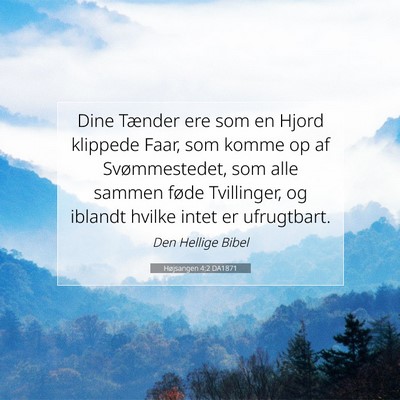 Picture 07 - Højsangen 4:2 DA1871 - Dine Tænder ere som en Hjord klippede Faar, som - Bible Verse Picture