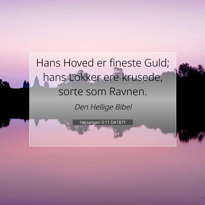 Picture 07 - Højsangen 5:11 DA1871 - Hans Hoved er fineste Guld; hans Lokker ere - Bible Verse Picture