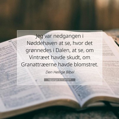 Picture 07 - Højsangen 6:11 DA1871 - Jeg var nedgangen i Nøddehaven at se, hvor det - Bible Verse Picture