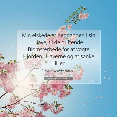 Picture 07 - Højsangen 6:2 DA1871 - Min elskede er nedgangen i sin Have, til de - Bible Verse Picture