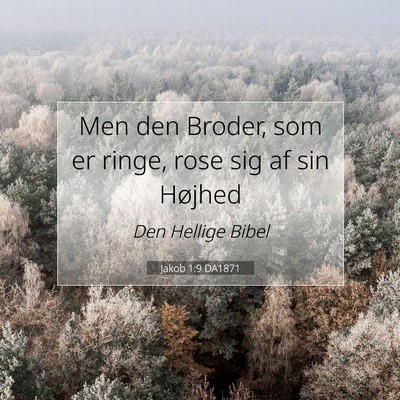 Picture 07 - Jakob 1:9 DA1871 - Men den Broder, som er ringe, rose sig af sin - Bible Verse Picture