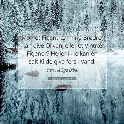 Picture 07 - Jakob 3:12 DA1871 - Mon et Figentræ, mine Brødre! kan give Oliven, - Bible Verse Picture