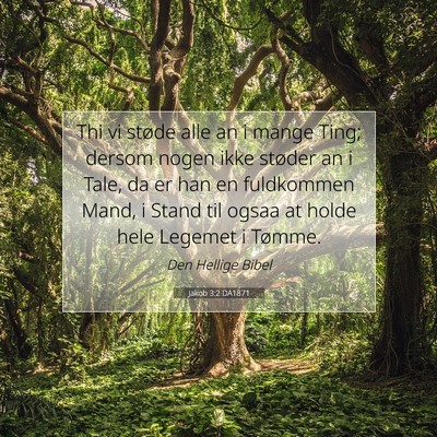 Picture 07 - Jakob 3:2 DA1871 - Thi vi støde alle an i mange Ting; dersom nogen - Bible Verse Picture