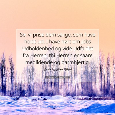 Picture 07 - Jakob 5:11 DA1871 - Se, vi prise dem salige, som have holdt ud. I - Bible Verse Picture