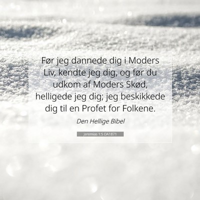 Picture 07 - Jeremias 1:5 DA1871 - Før jeg dannede dig i Moders Liv, kendte jeg - Bible Verse Picture