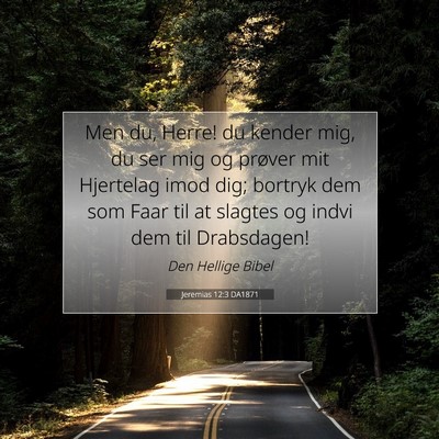 Picture 07 - Jeremias 12:3 DA1871 - Men du, Herre! du kender mig, du ser mig og - Bible Verse Picture