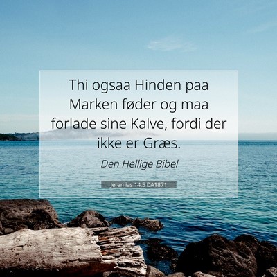 Picture 07 - Jeremias 14:5 DA1871 - Thi ogsaa Hinden paa Marken føder og maa forlade - Bible Verse Picture