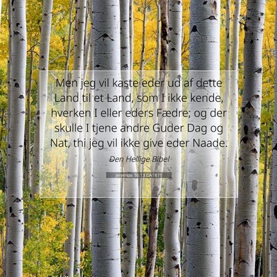 Picture 07 - Jeremias 16:13 DA1871 - Men jeg vil kaste eder ud af dette Land til et - Bible Verse Picture