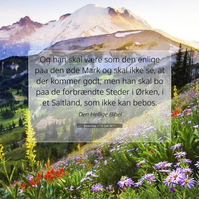 Picture 07 - Jeremias 17:6 DA1871 - Og han skal være som den enlige paa den øde - Bible Verse Picture