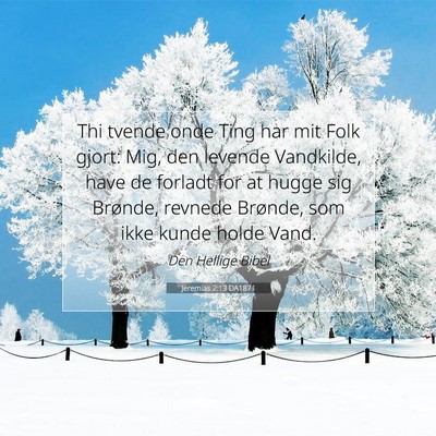 Picture 07 - Jeremias 2:13 DA1871 - Thi tvende onde Ting har mit Folk gjort: Mig, den - Bible Verse Picture