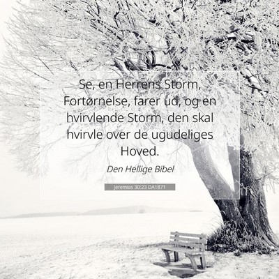 Picture 07 - Jeremias 30:23 DA1871 - Se, en Herrens Storm, Fortørnelse, farer ud, og - Bible Verse Picture