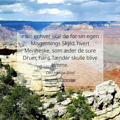 Picture 07 - Jeremias 31:30 DA1871 - men enhver skal dø for sin egen Misgernings - Bible Verse Picture