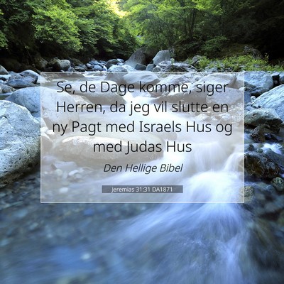 Picture 07 - Jeremias 31:31 DA1871 - Se, de Dage komme, siger Herren, da jeg vil - Bible Verse Picture