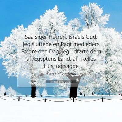 Picture 07 - Jeremias 34:13 DA1871 - Saa siger Herren, Israels Gud: Jeg sluttede en - Bible Verse Picture