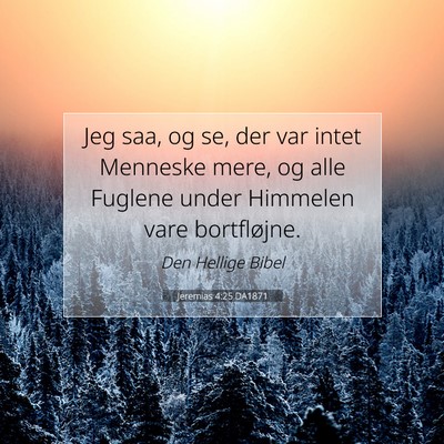 Picture 07 - Jeremias 4:25 DA1871 - Jeg saa, og se, der var intet Menneske mere, og - Bible Verse Picture