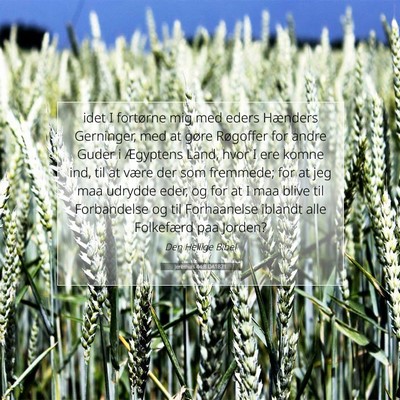 Picture 07 - Jeremias 44:8 DA1871 - idet I fortørne mig med eders Hænders - Bible Verse Picture