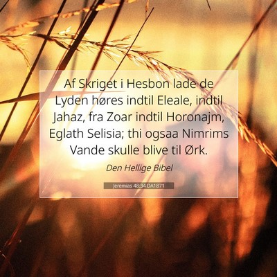 Picture 07 - Jeremias 48:34 DA1871 - Af Skriget i Hesbon lade de Lyden høres indtil - Bible Verse Picture
