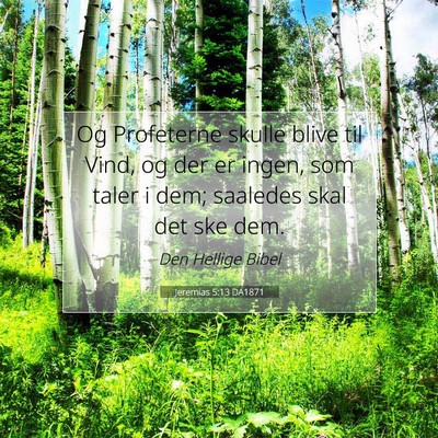 Picture 07 - Jeremias 5:13 DA1871 - Og Profeterne skulle blive til Vind, og der er - Bible Verse Picture